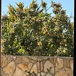 Guest house Actium Vlore